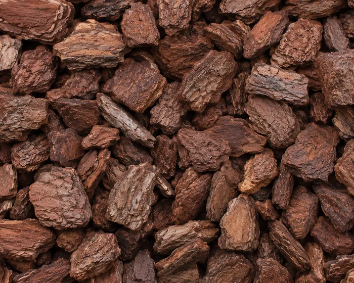 Close view of pine bark nuggets